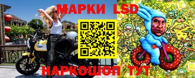 СК Рыбинск