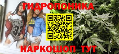 СК Рыбинск