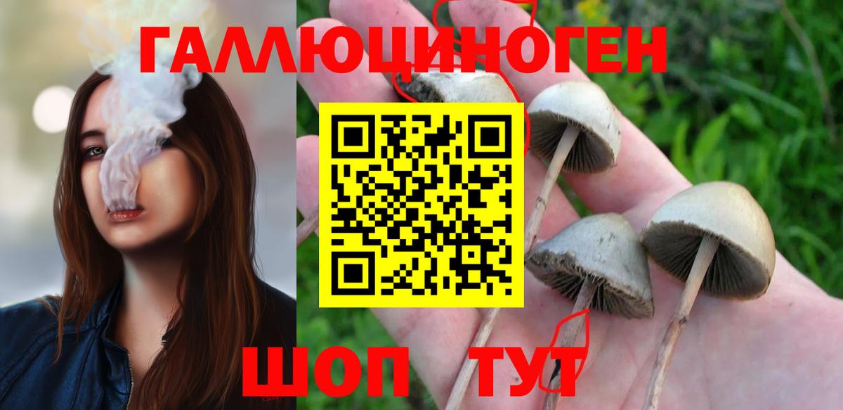 Псилоцибиновые грибы мицелий Самара